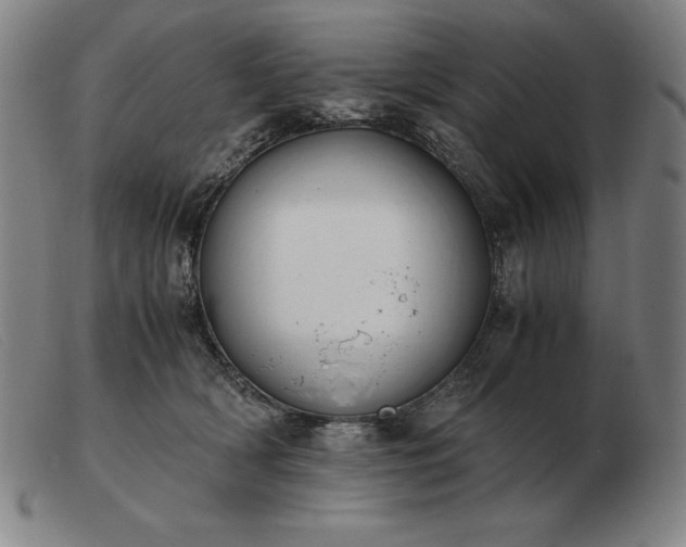 X0000103480418200809191903
