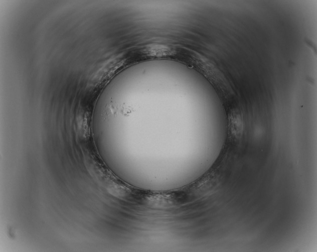 X0000103480422200809191903