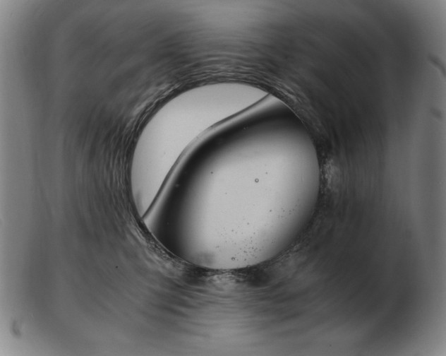 X0000103480423200809191903