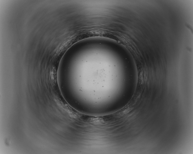 X0000103480424200809191903