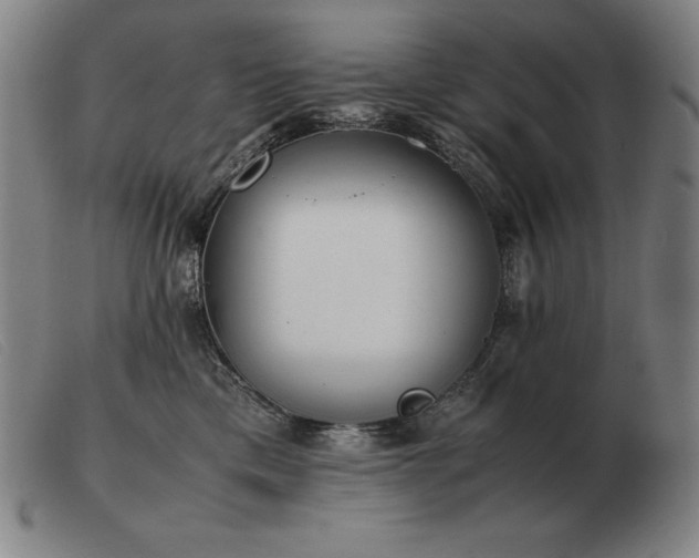 X0000103480425200809191903