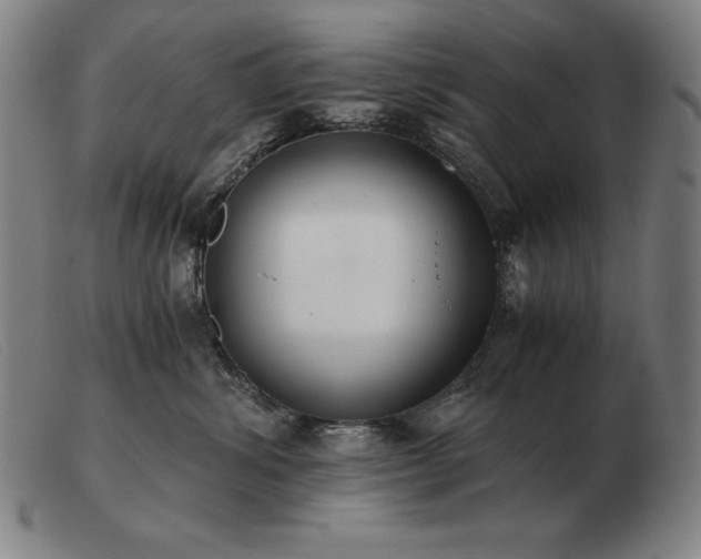 X0000103480428200809191903