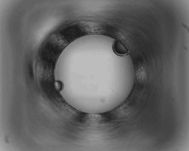 X0000103480429200809191903