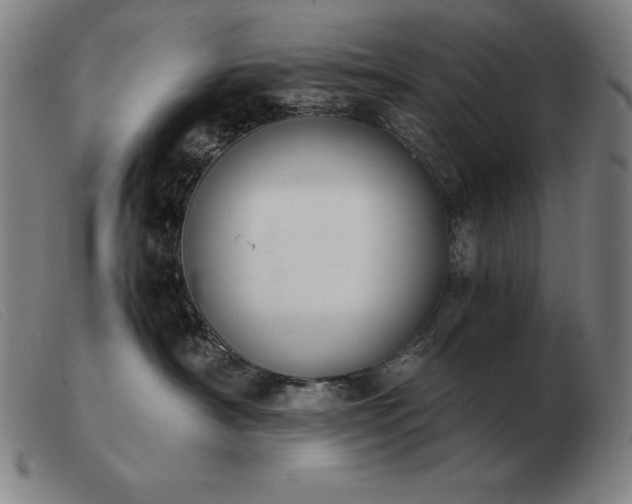 X0000103480430200809191903
