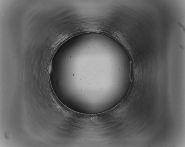 X0000103480433200809191903