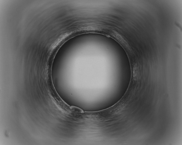 X0000103480436200809191903
