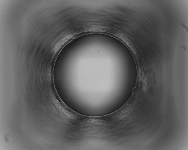 X0000103480437200809191903