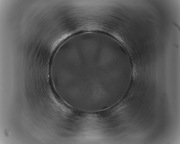 X0000103480438200809191903