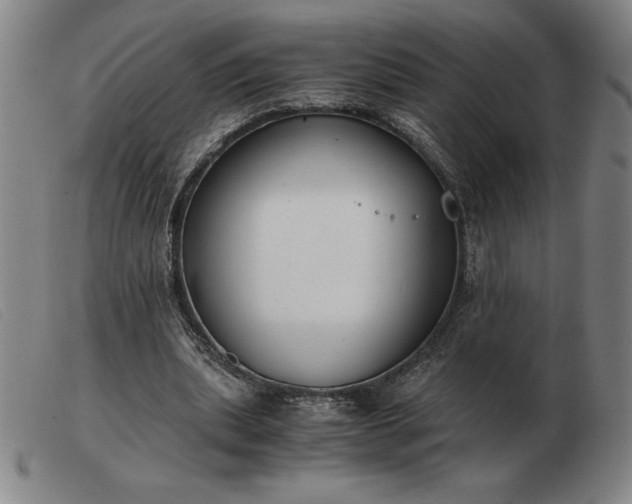 X0000103480439200809191903