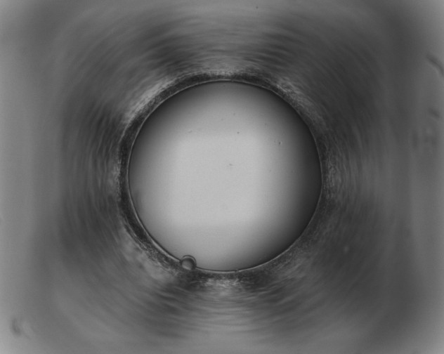 X0000103480440200809191903