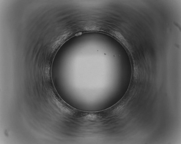 X0000103480441200809191903