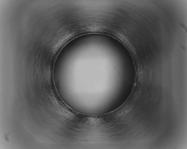X0000103480442200809191903