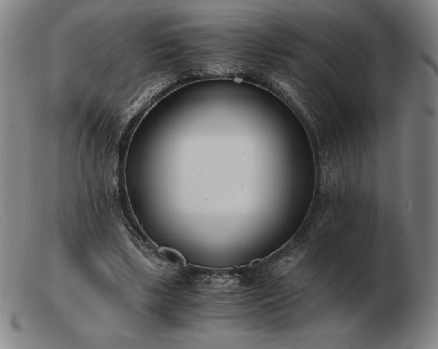 X0000103480443200809191903
