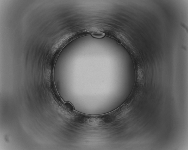 X0000103480444200809191903