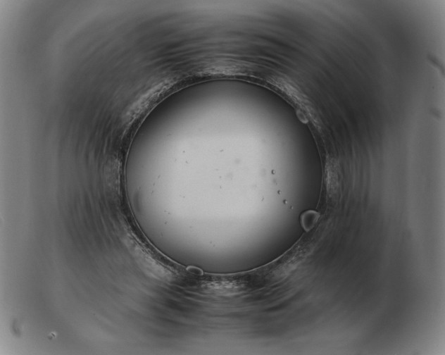 X0000103480445200809191903