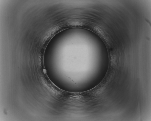 X0000103480447200809191903