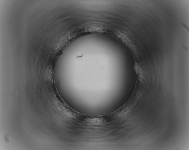 X0000103480449200809191903