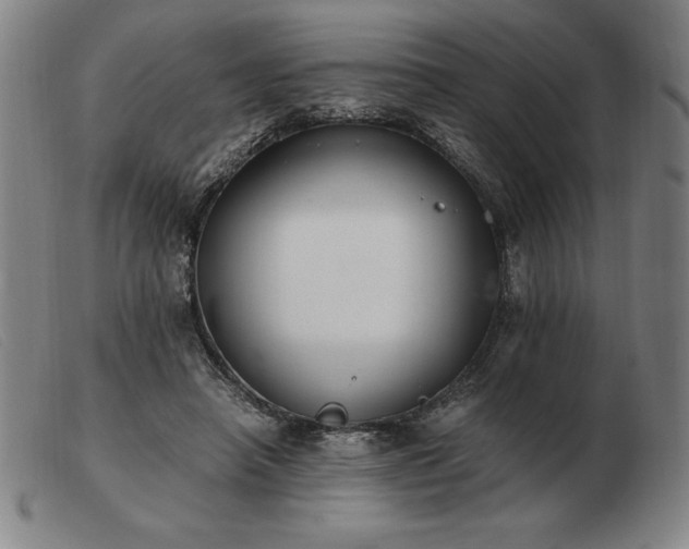 X0000103480450200809191903