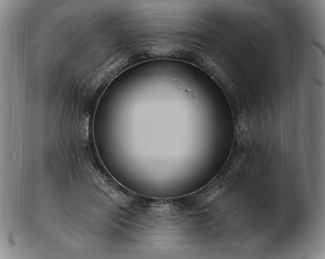 X0000103480454200809191903