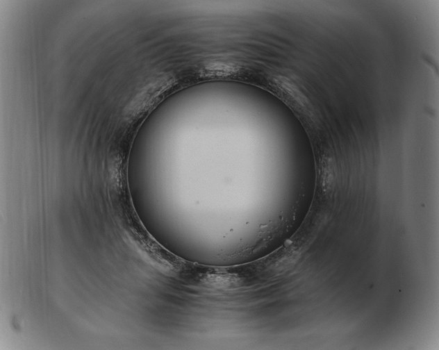 X0000103480455200809191903