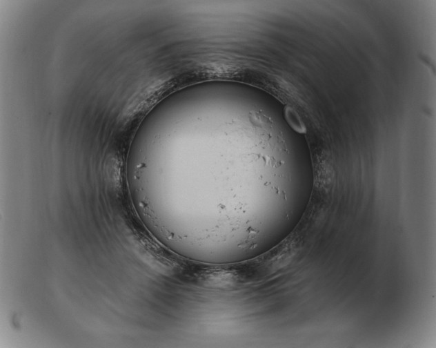 X0000103480456200809191903