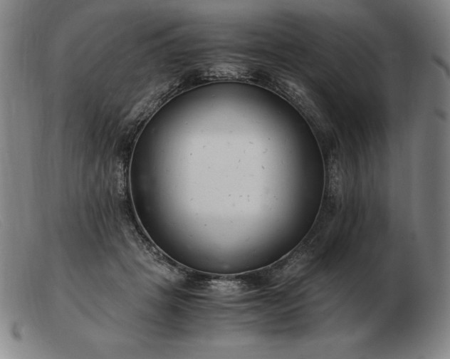X0000103480457200809191903