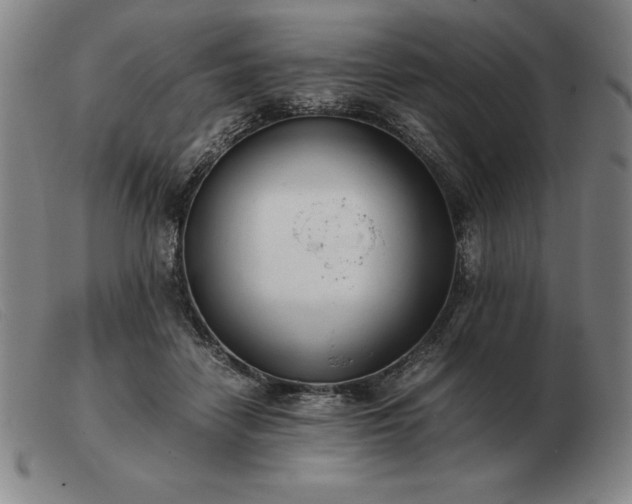 X0000103480458200809191903