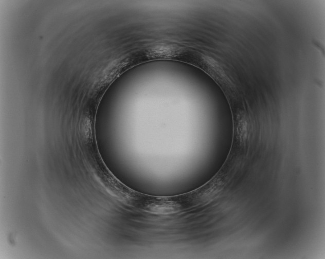 X0000103480459200809191903