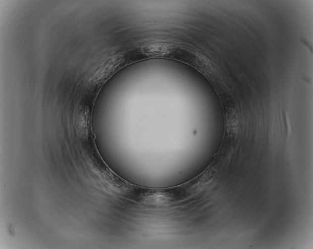 X0000103480460200809191903