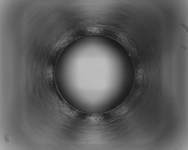 X0000103480466200809191903