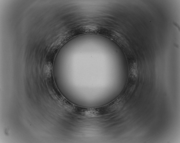 X0000103480468200809191903