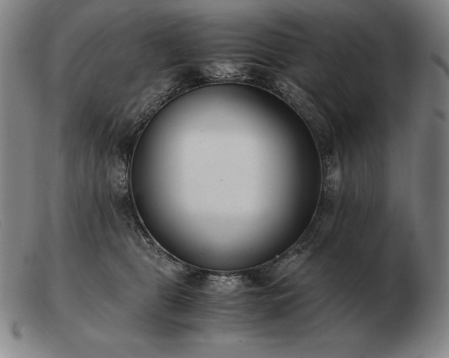 X0000103480469200809191903