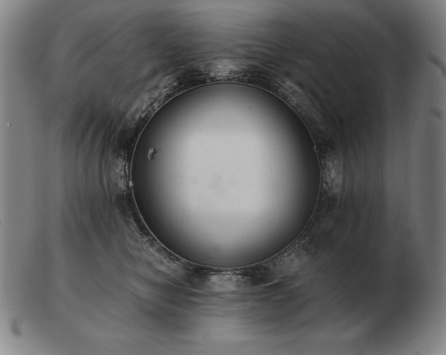 X0000103480470200809191903