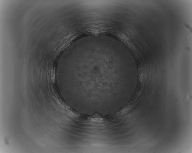 X0000103480471200809191903