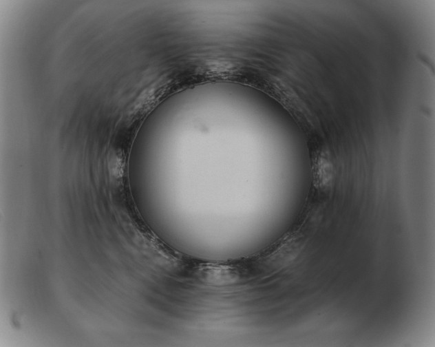X0000103480472200809191903