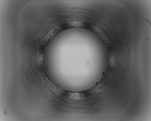 X0000103480473200809191903
