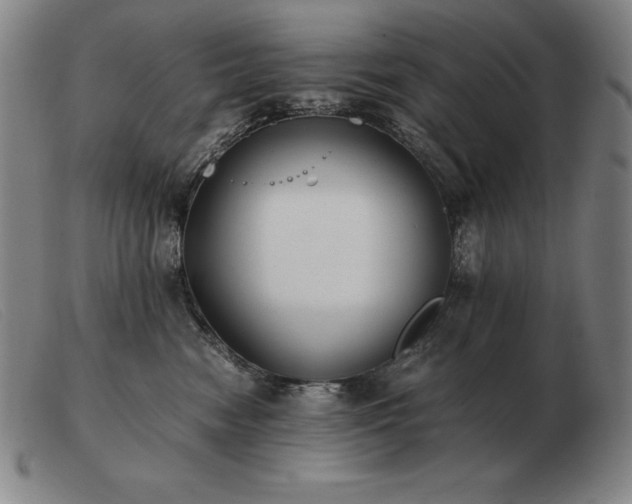 X0000103480474200809191903