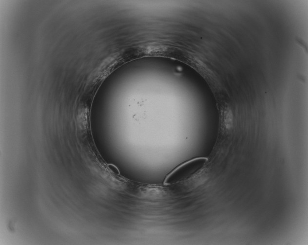 X0000103480475200809191903