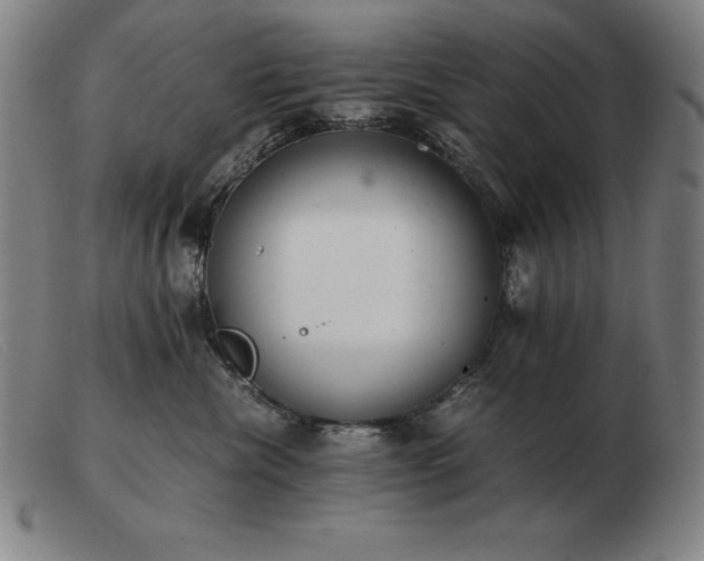 X0000103480476200809191903