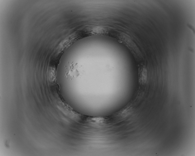 X0000103480478200809191903