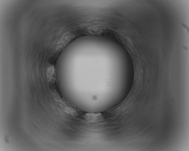 X0000103480480200809191903