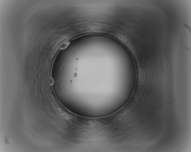 X0000103480481200809191903