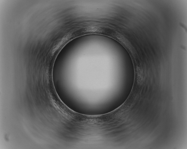 X0000103480482200809191903