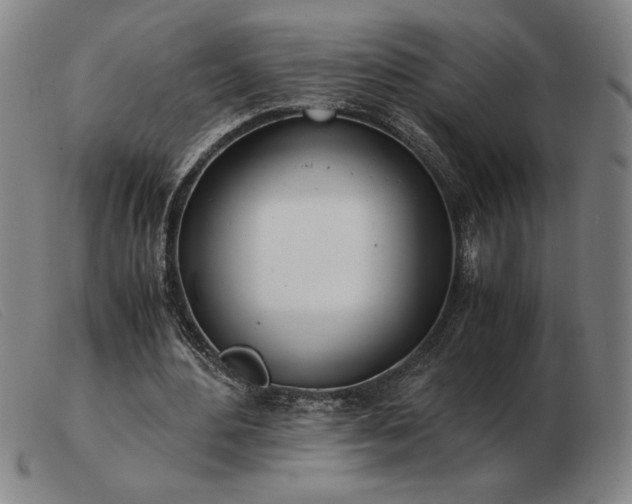 X0000103480484200809191903