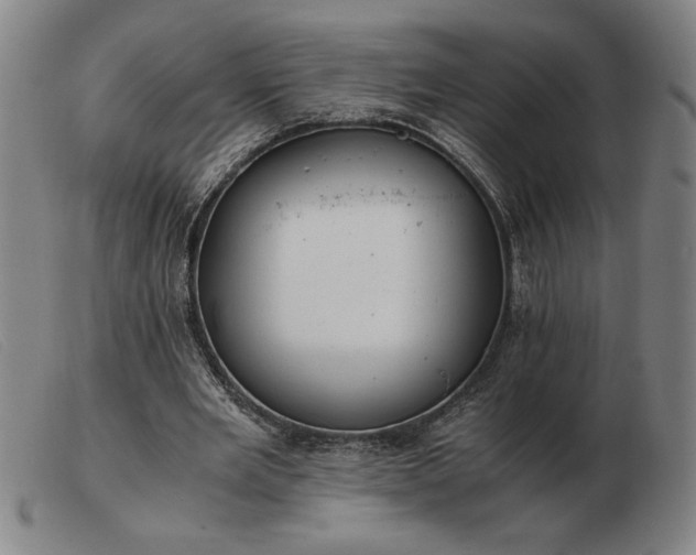 X0000103480485200809191902