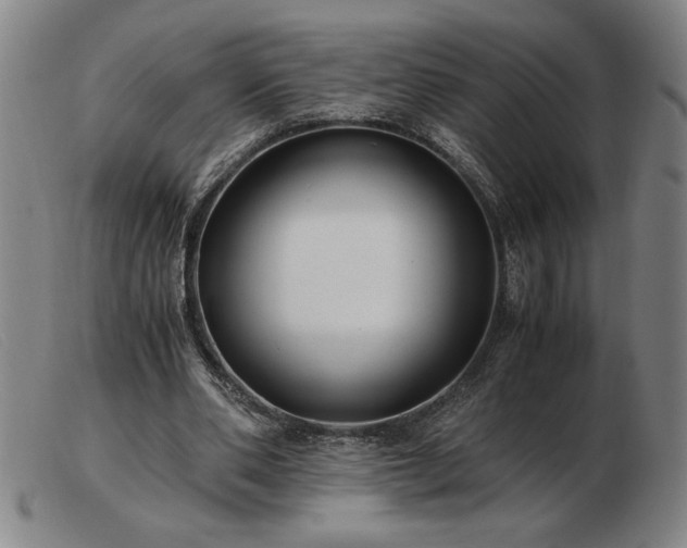 X0000103480486200809191902