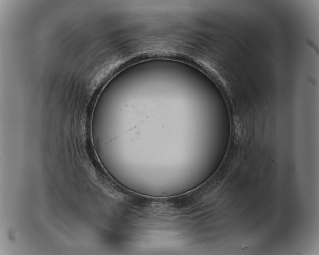 X0000103480487200809191902