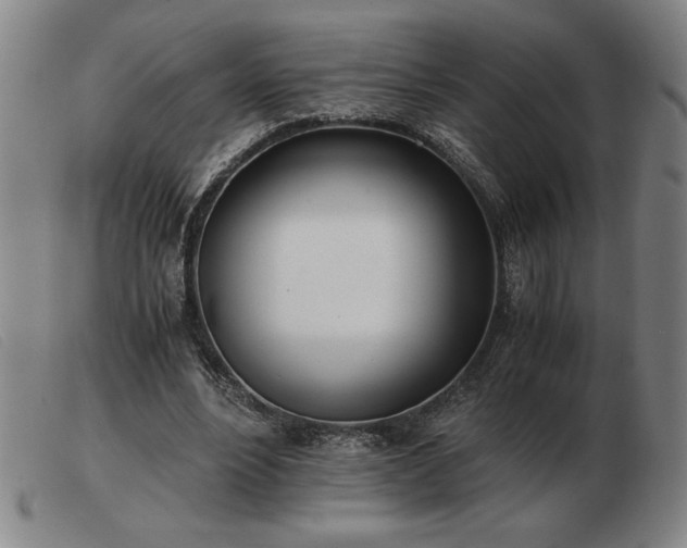 X0000103480488200809191902