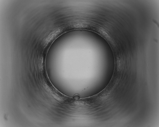 X0000103480490200809191902