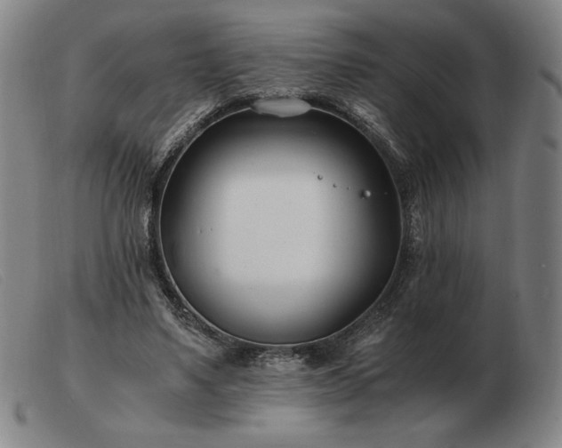 X0000103480491200809191902